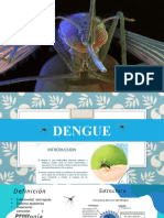 Dengue JC