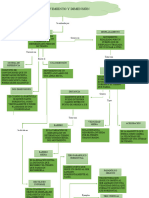 Mapa Conceptual Del Movimiento y Dimensiones