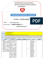 Conclusiones Descriptivas Tercer Grado Ii... Trimestre Ok Ok Ok