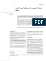 Fractures de L'extrémité Supérieure Du Fémur Chez L'adulte