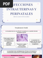 Enfermedades Intrauterinas y Perinatales