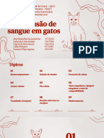 Transfusão Gatos