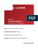 Ensayo - Comercio Internacional y Comercio Exterior - Carlos Vargas