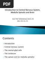 CNS Histology 1