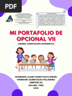 Portafolio Opcional Vii