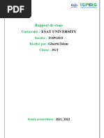 Rapport de Stage