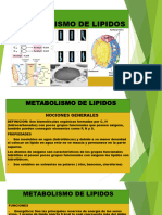 Metabolismo de Lipidos