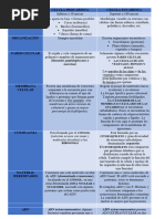 Cuadro Comparativo Celula Eucariota y Procariota 4