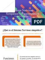 Sistema Nervioso (Presentación)