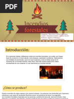 Incendios Forestales