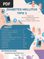 Diabetes Mellitus Tipo 1