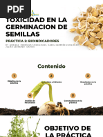 Practica 2 Toxicidad en La Germinacion de Semillas