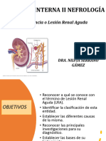 Insuficiencia Renal Aguda