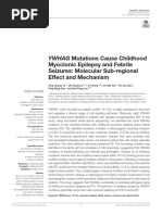 YWHAG Mutations Cause Childhood Myoclonic Epilepsy and Febrile Seizures