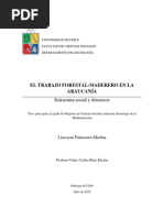 El Trabajo Forestal-Maderero en La Araucanía