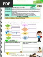 PDF Documento