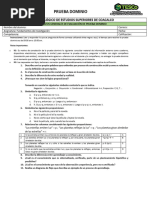 Prueba Dominio Fundamentos de Investigación 1P