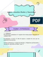 Bienes, Derechos Reales y Sucesiones