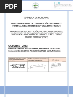 Informe Mensual Octubre 2023 Icf Ppat Saf.