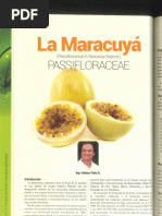 Maracuya