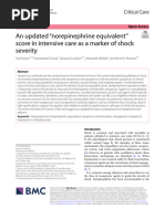 An Updated "Norepinephrine Equivalent" Score in Intensive Care As A Marker of Shock Severity