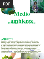 Medio Ambiente CLASE 4 y Deber