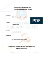 Derecho Ambiental Principios Rectores. Milton Fernando