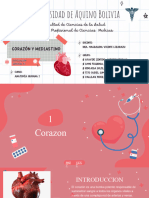 Diapos, Corazon y Mediastino