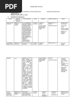 V Planificación Anual 2022