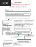 Procedimiento Administrativo en Materia Tributaria