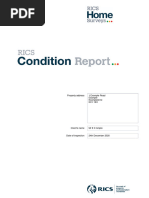 Condition Report Sample