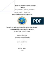 Informe Final de Prácticas Pre Profesionales - Trujillo Nieto Yamile