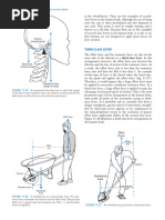 Joseph Hamill Biomechanical Basis of Human Movement 426 450