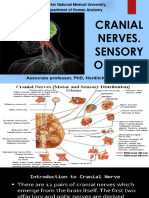 Cranial Nerves. - Sensory Organs - General Medicine