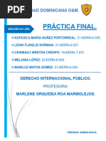 Practica Final, Derecho Internacional Publico.