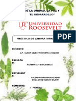 Informe de Laboratorio N°4