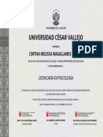 Universidad César Vallejo: Cinthia Melissa Magallanes Medina