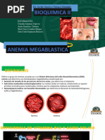 Anemia Megaloblastica