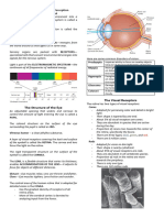 Chapter 4 - Perception and Sensation