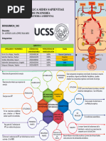 Hoja de Trabajo 14