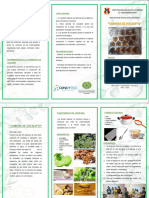 Triptico de Proyecto Gomitas de Eucalipto Del 5° C - 2023