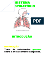 Sistema Respiratório