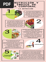 Infografía Sobre La Nutrición y El Indicé de Masa Corporal - Compressed