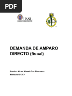 Amparo Directo