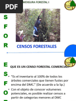 Censo Forestal