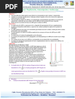 T1.Replicación, Transcripción y Traducción - Hoja de Trabajo