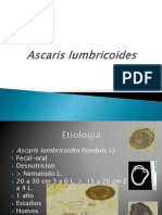 Diapositivas Ascaris Lumbricoides