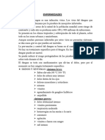 Enfermedades-WPS Office