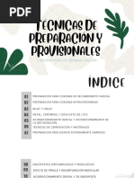 Tecnicas de Preparación Provisionales