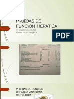 Pruebas de Funcion Hepatica